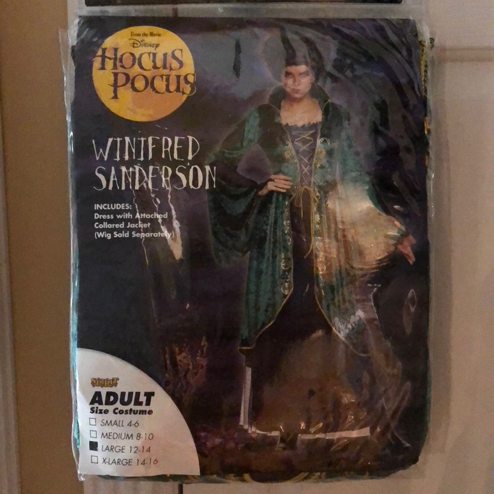 Hocus Pocus Winifred Sanderson Costume